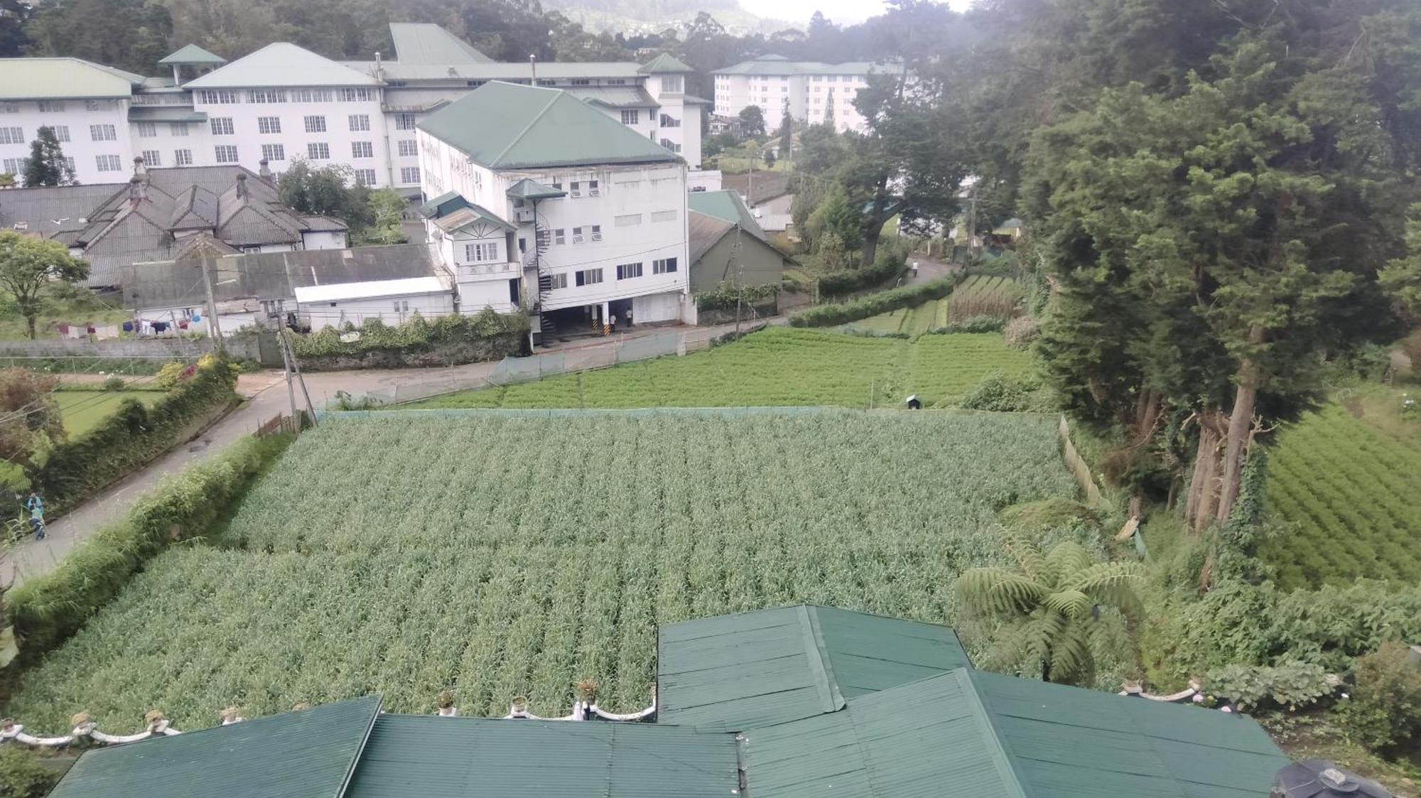 Nuwara Eliya Luxury Apartment Exterior photo